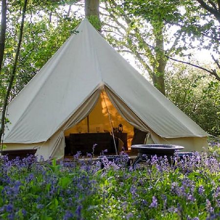 ホテル Oak Tree Farm Llanfynydd エクステリア 写真