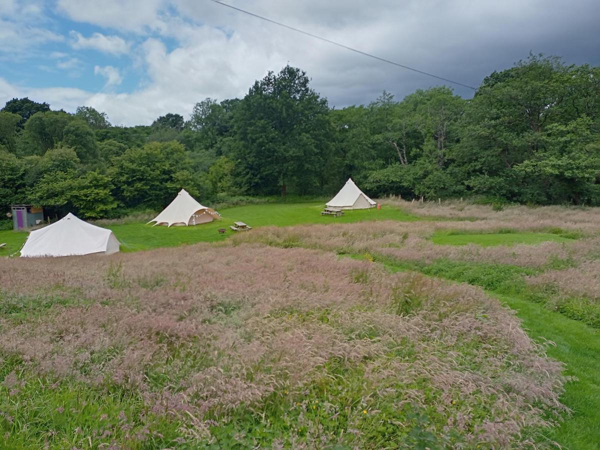 ホテル Oak Tree Farm Llanfynydd エクステリア 写真