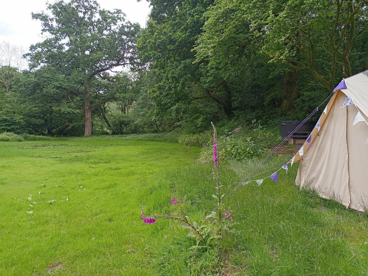 ホテル Oak Tree Farm Llanfynydd エクステリア 写真