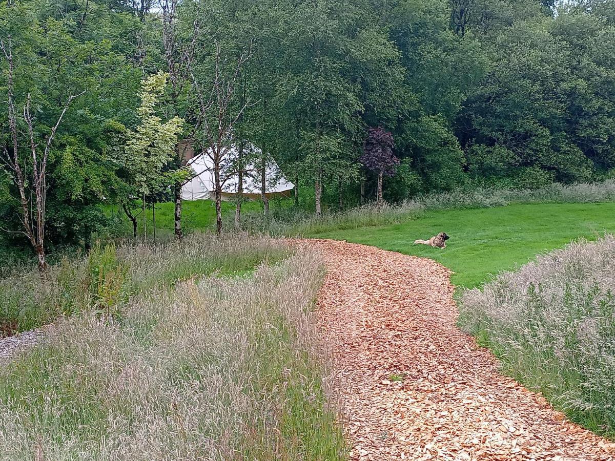 ホテル Oak Tree Farm Llanfynydd エクステリア 写真