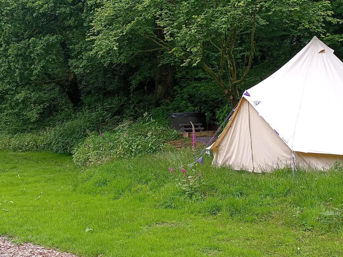 ホテル Oak Tree Farm Llanfynydd エクステリア 写真