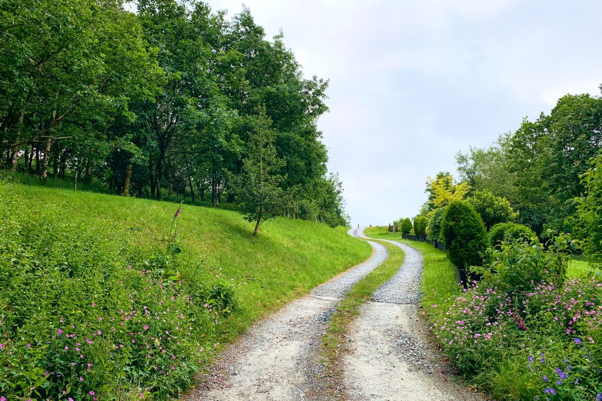 ホテル Oak Tree Farm Llanfynydd エクステリア 写真