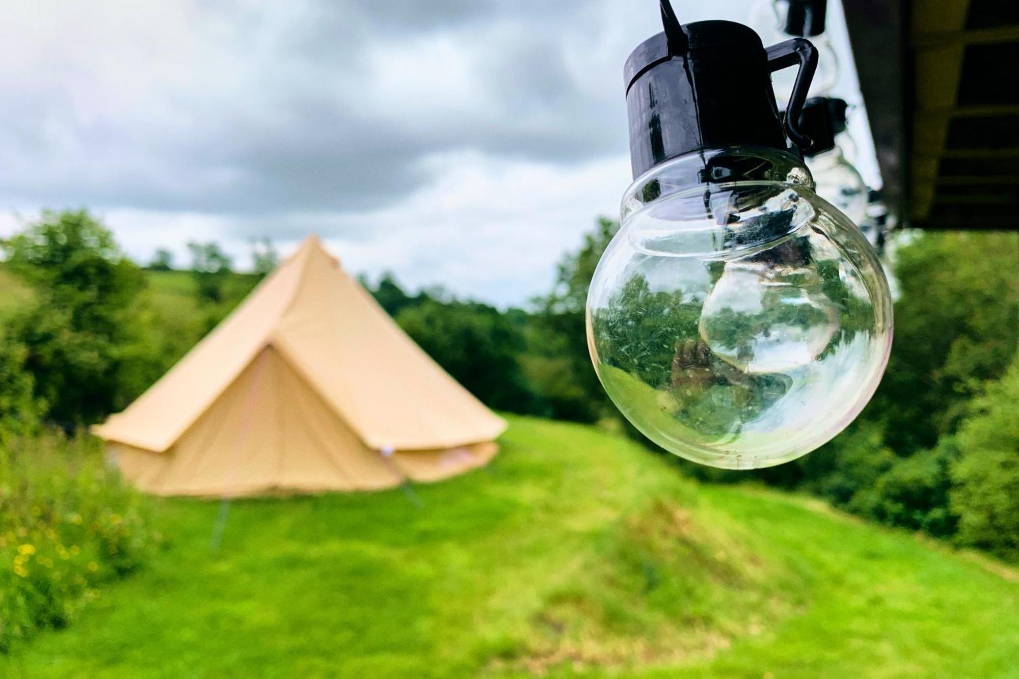 ホテル Oak Tree Farm Llanfynydd エクステリア 写真
