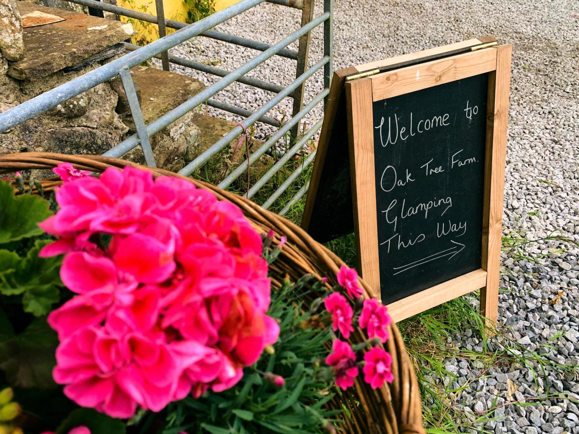 ホテル Oak Tree Farm Llanfynydd エクステリア 写真