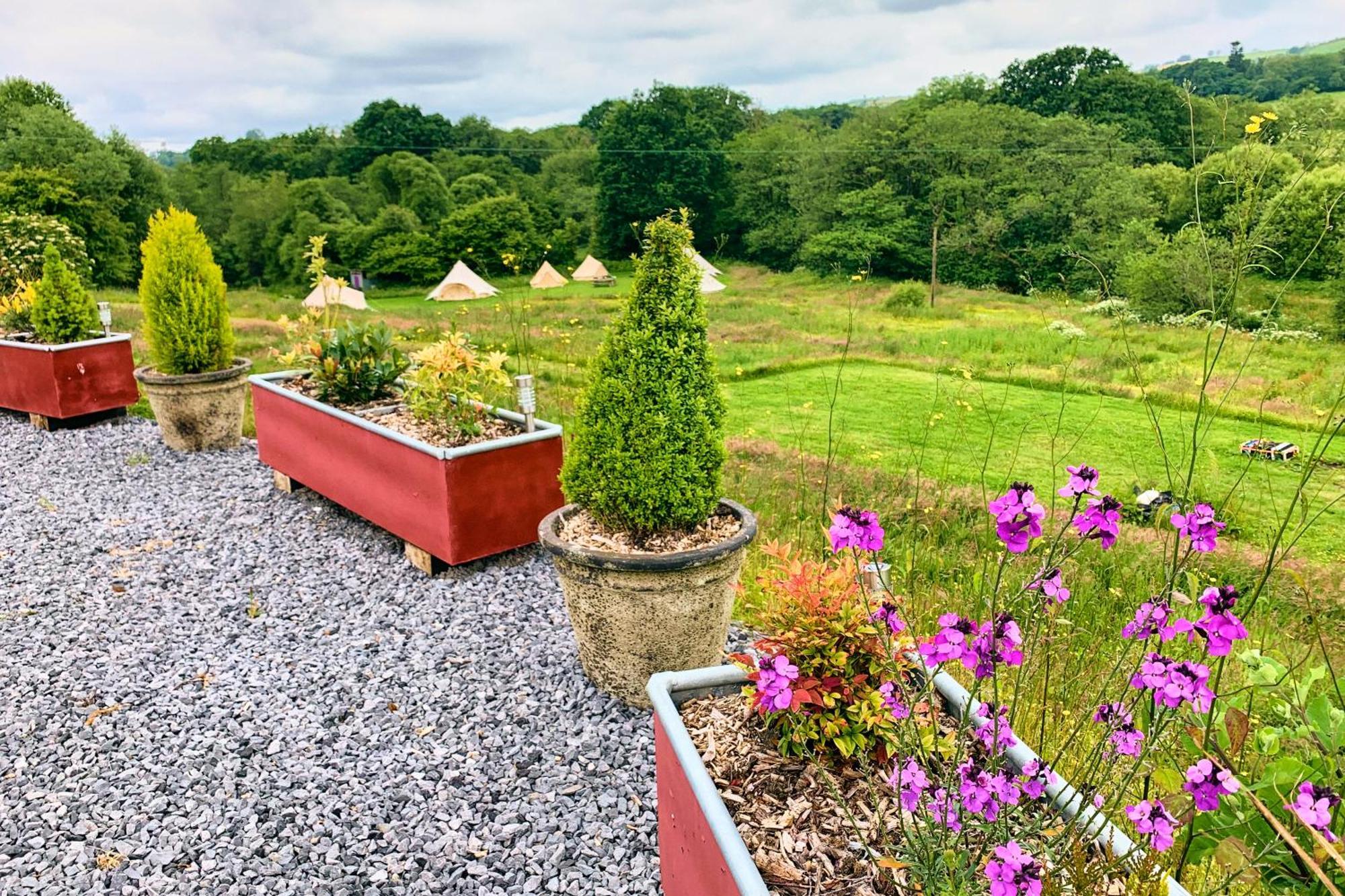 ホテル Oak Tree Farm Llanfynydd エクステリア 写真